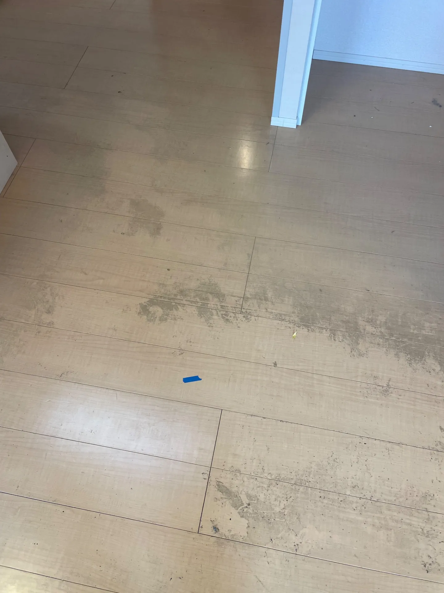 岡崎市 ハウスクリーニング 床ハクリ洗浄