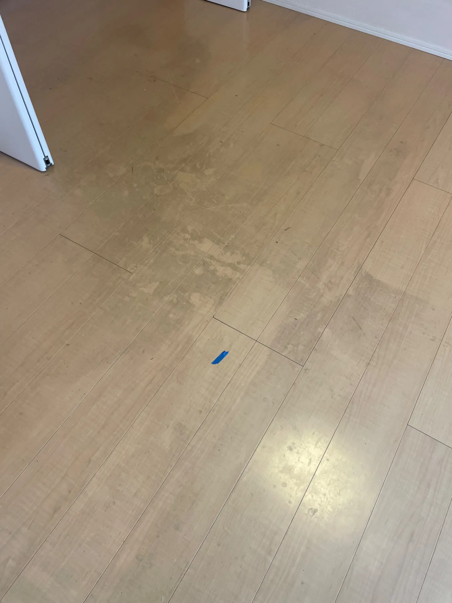 岡崎市 ハウスクリーニング 床ハクリ洗浄